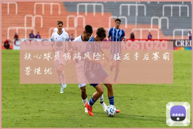 核心球员伤病风险：猛龙季后赛前景堪忧