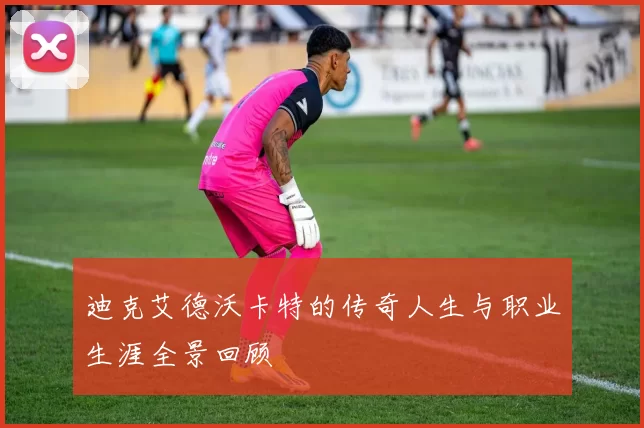 迪克艾德沃卡特的传奇人生与职业生涯全景回顾