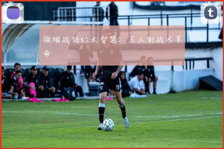 微缩战场的大智慧：五人制战术革命
