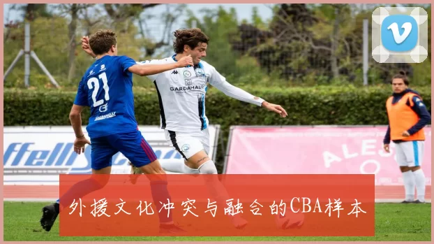 外援文化冲突与融合的CBA样本