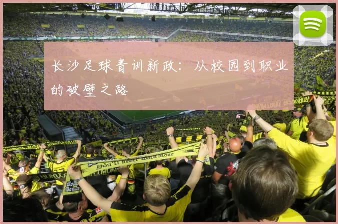 长沙足球青训新政：从校园到职业的破壁之路
