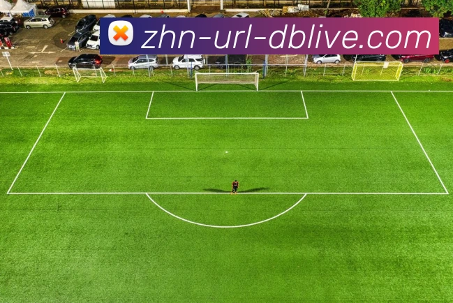 db真人首页APP 封面图